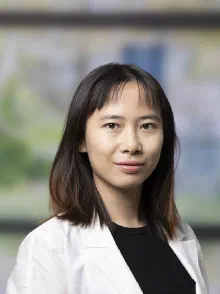 Meijun Chen